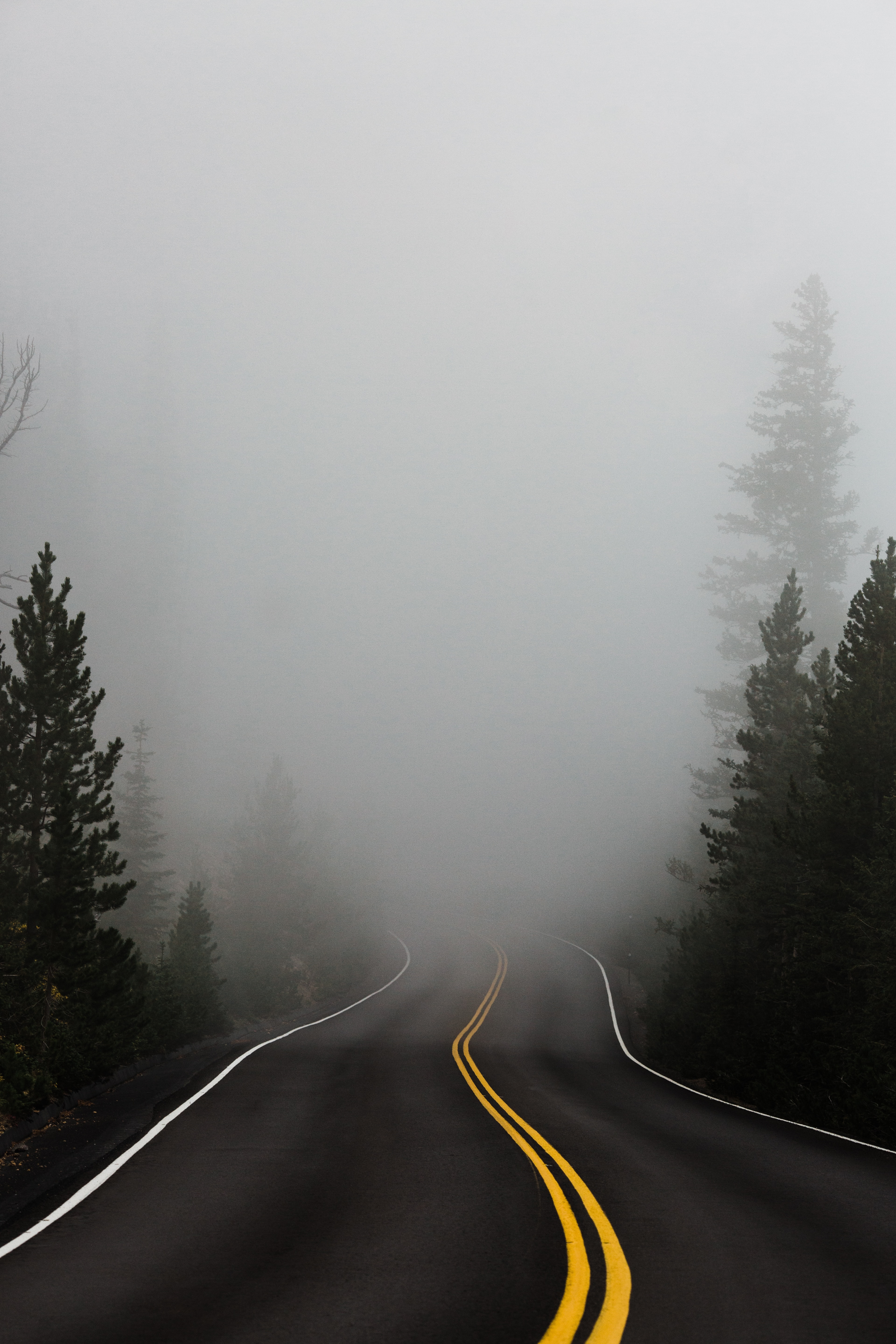 katie moum 5FHv5nS7yGg unsplash