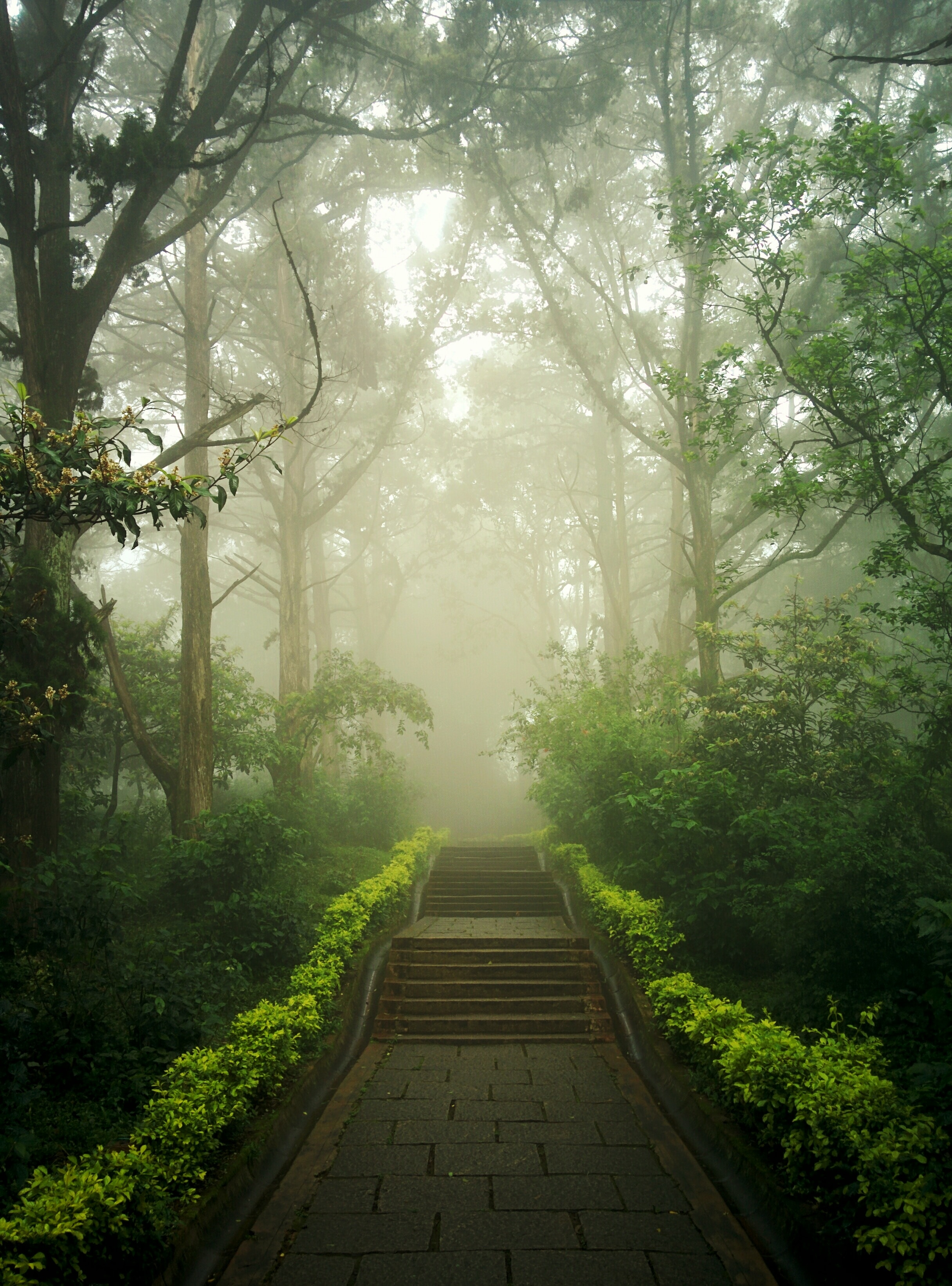 Nature Photography